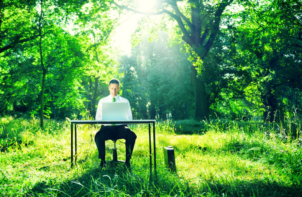 Businessman,Working,Computer,Forest,Green,Concept