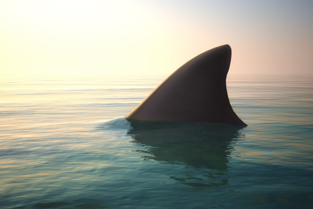 Shark,Fin,Above,Ocean,Water