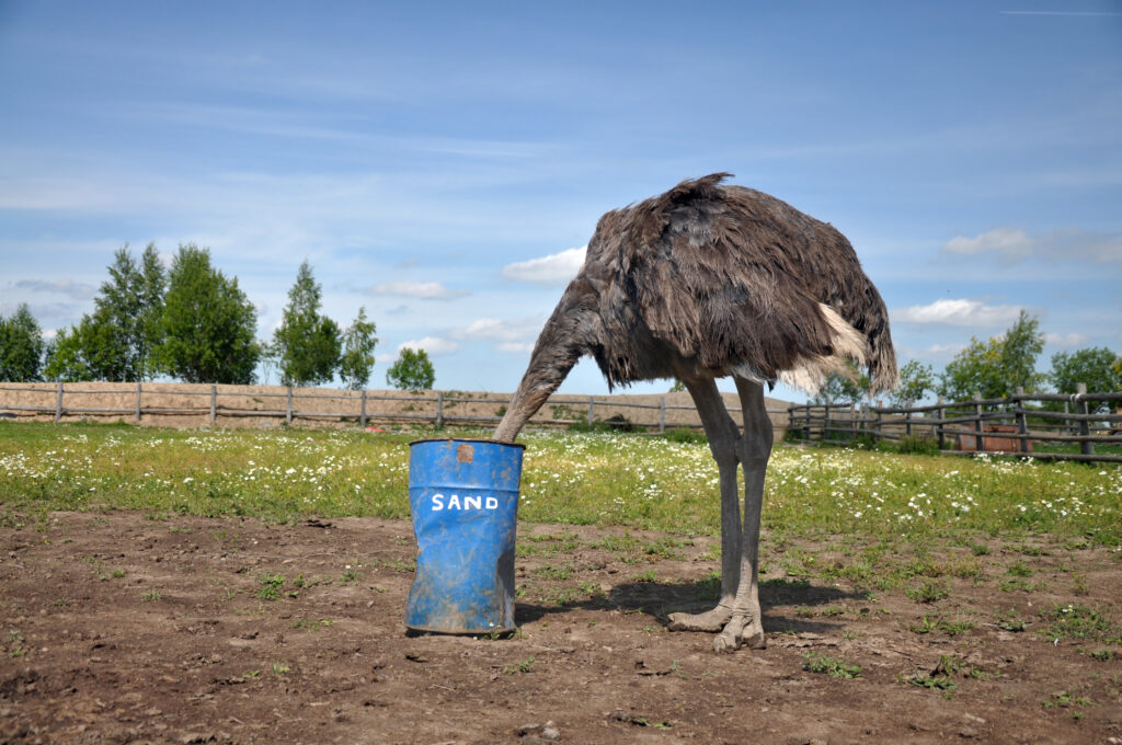 The,Comic,Image,Of,The,Ostrich,That,Hiding,Its,Head