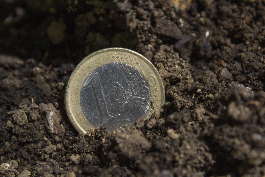 One,Euro,Coin,Into,Ground,Growth,Agriculture,Farming,Business,Money